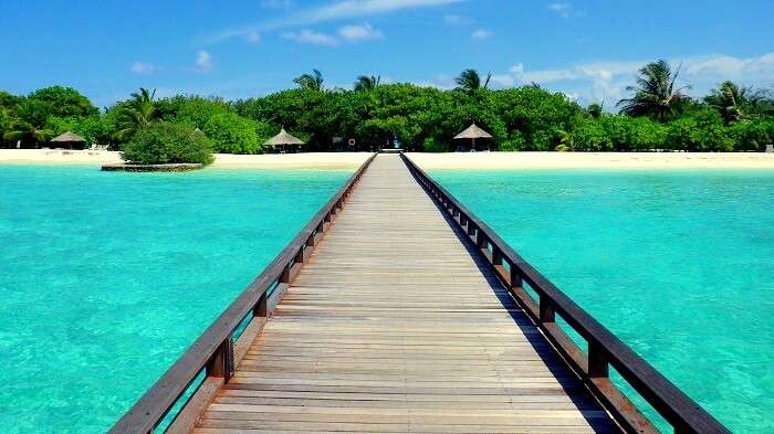 Boardwalk in Maldives Nature Park