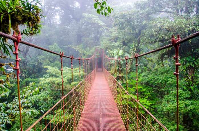 monteverde in costa rica