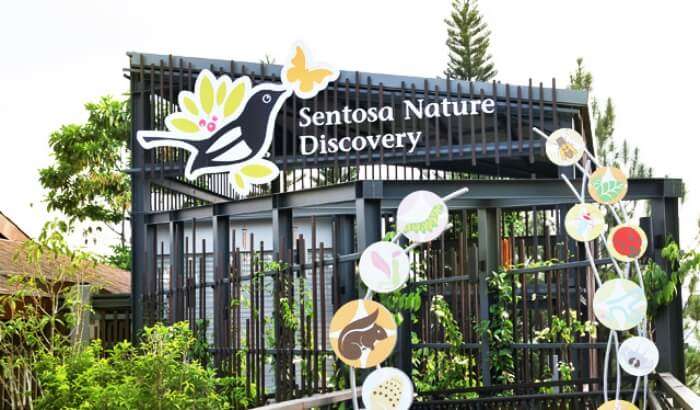 Sentosa Nature Discovery