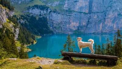 switzerland