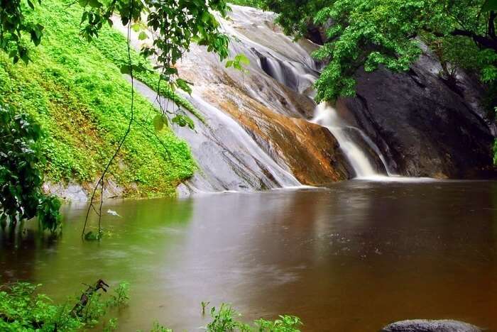 visit Dhoni Waterfalls palakkad