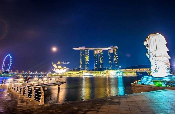 merlion in singapore
