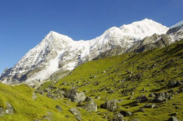 Spot wildlife at Khangchendzonga National Park