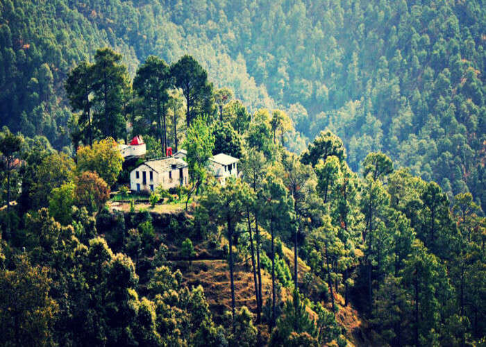 Binsar Wildlife sanctuary