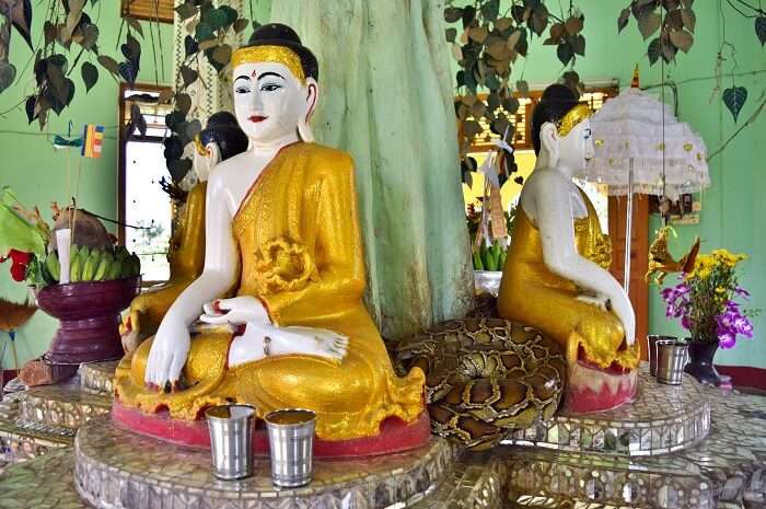 Buangdawgyoke Pagoda myanmar