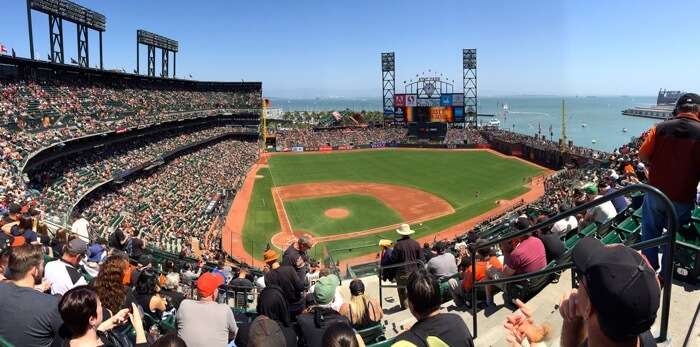 Cheer for the Giants