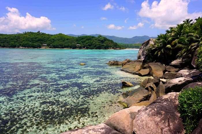tushar seychelles honeymoon trip: beach