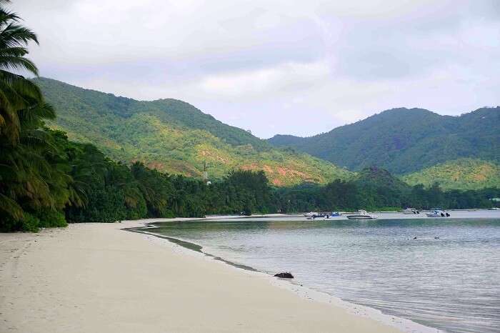 tushar seychelles honeymoon trip: praslin beach