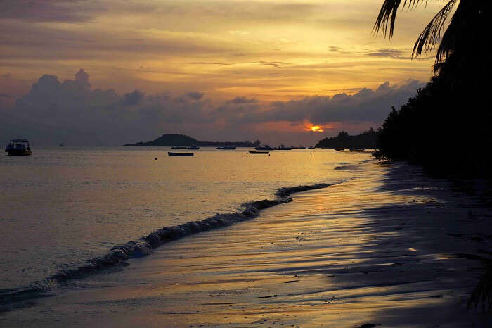 tushar seychelles honeymoon trip: sunset