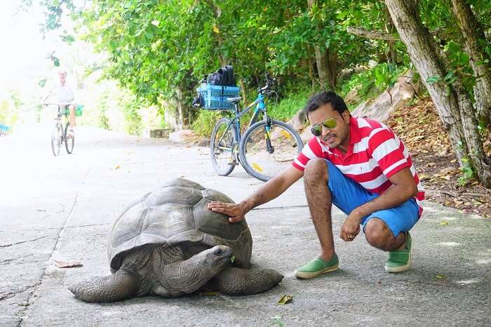 tushar seychelles honeymoon trip: clicking pics with tortoise