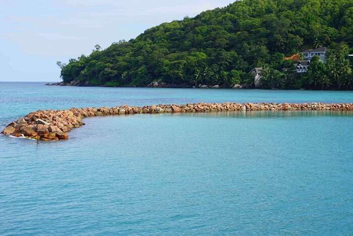 tushar seychelles honeymoon trip: praslin island