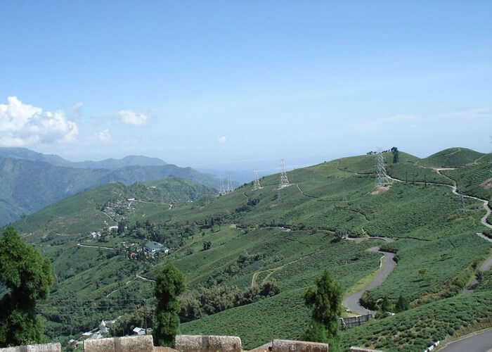  darjeeling road