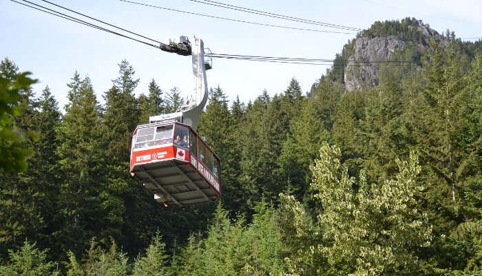 Sky Gondola