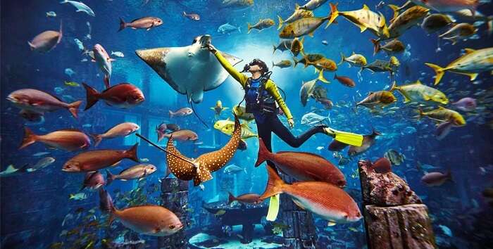 Go Deep Sea Diving At Dive Atlantis in dubai in june