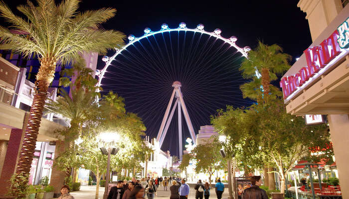 Go on the High Roller observation wheel