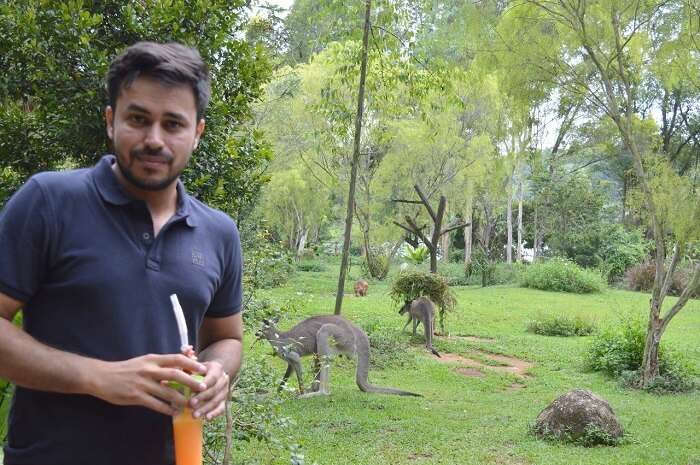 anshu singapore trip: in zoo