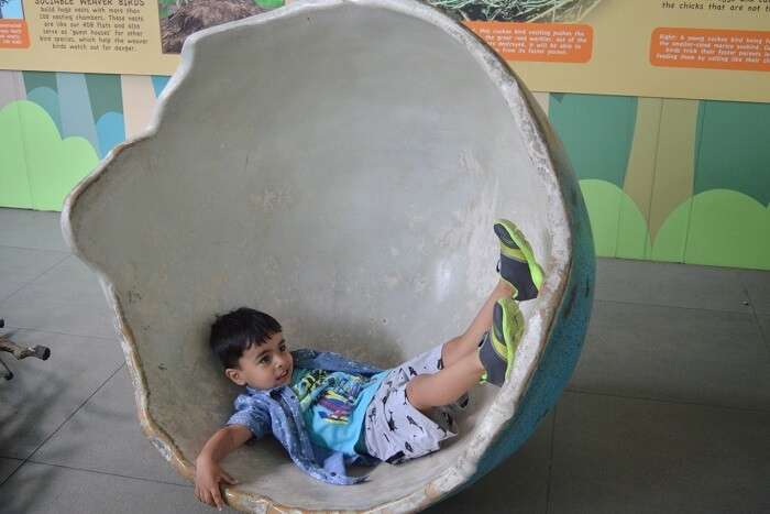 anshu singapore trip: sushant son in egg chair