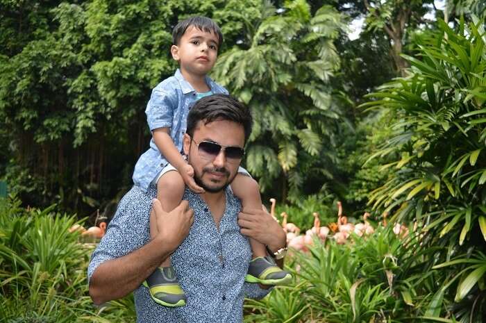 anshu singapore trip: sushant son in bird park