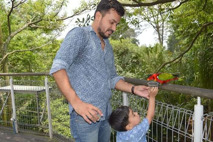 anshu singapore trip: feeding parrot