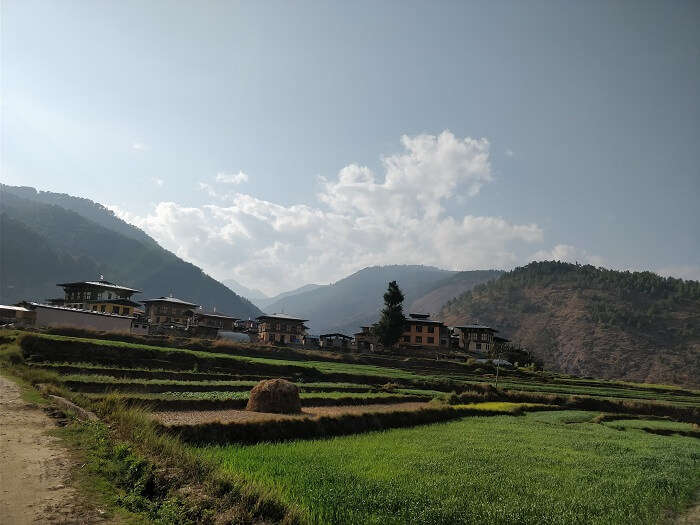 thimphu local sightseeing