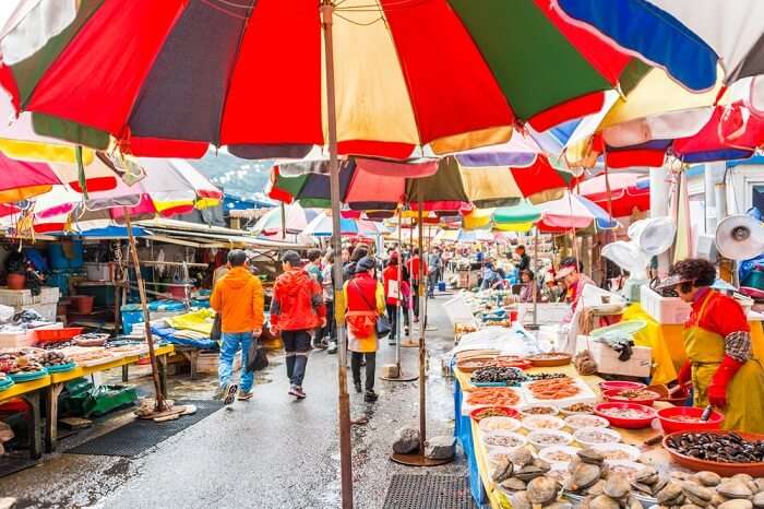 variety of the seafood delights