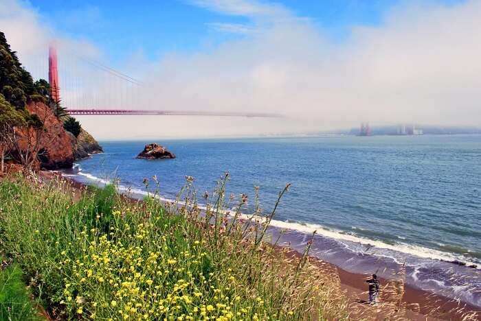 Kirby Cove Beach san francisco