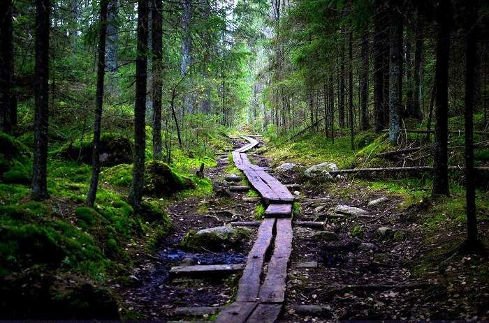 Nuuksio National Park finland