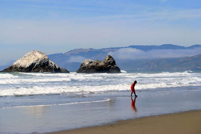 Ocean Beach san francisco