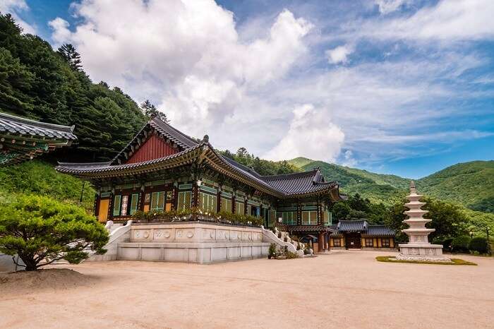 Witness the awe inspiring scenic beauty at one of the best hiking places to visit in South Korea in Pyeongchang County