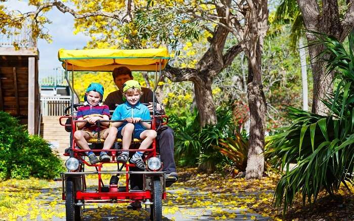 Relish the nature with over two-thousand animals at Zoo Miami 