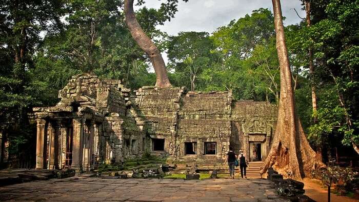 Ta_Prohm