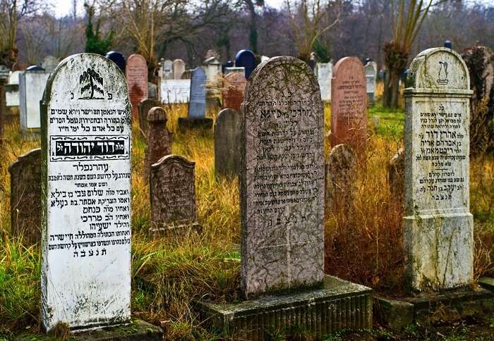 Tour abandoned Jewish cemeteries in budapest Hungary