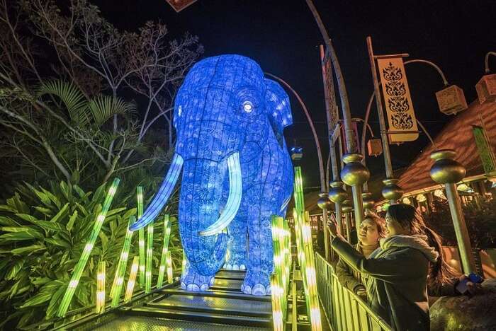 Vivid Sydney Taronga Zoo