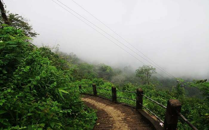 acj-1405-trekking-in-shillong (5)