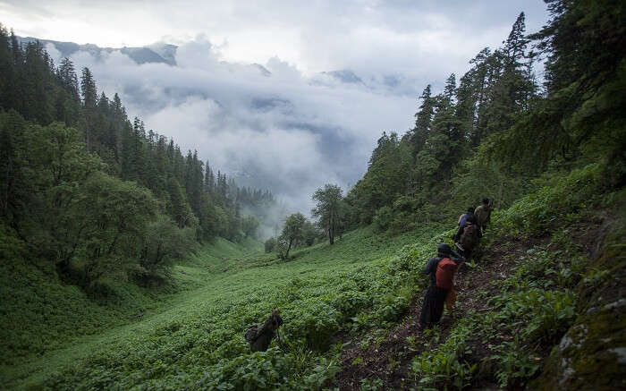 acj-1405-trekking-in-shillong (6)