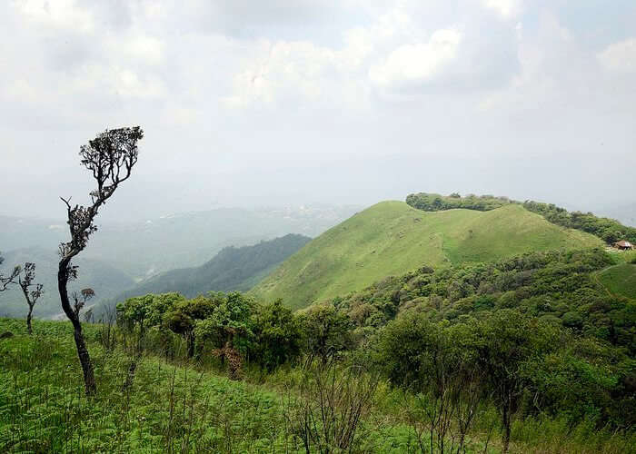 balphakram national park cherrapunji
