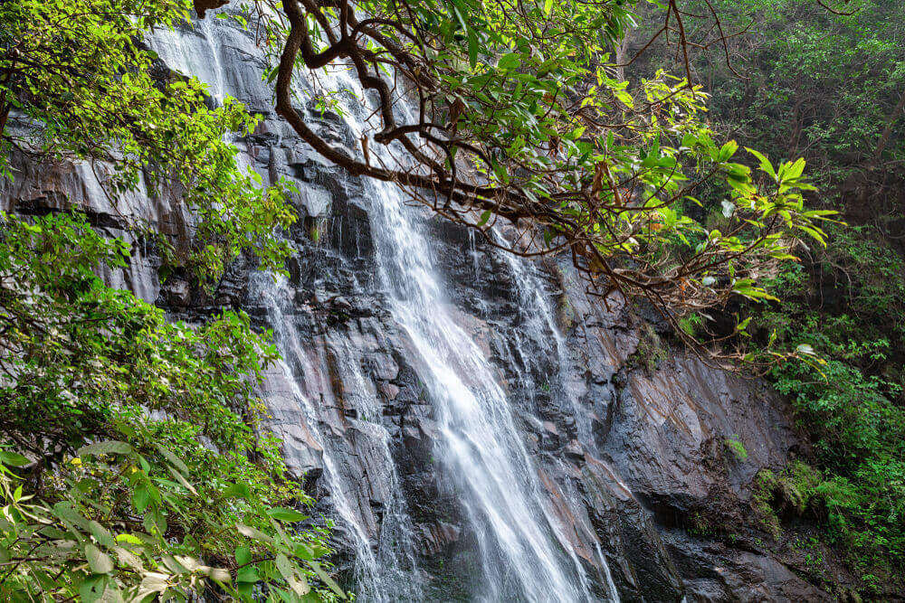 the gorgeous waterfall in Pachmarhi
