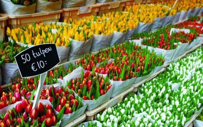 Flower Market - Bloemenmarkt