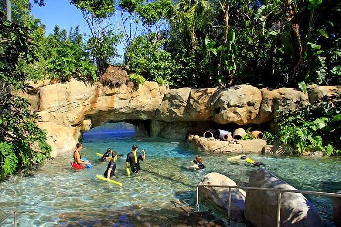 discovery cove