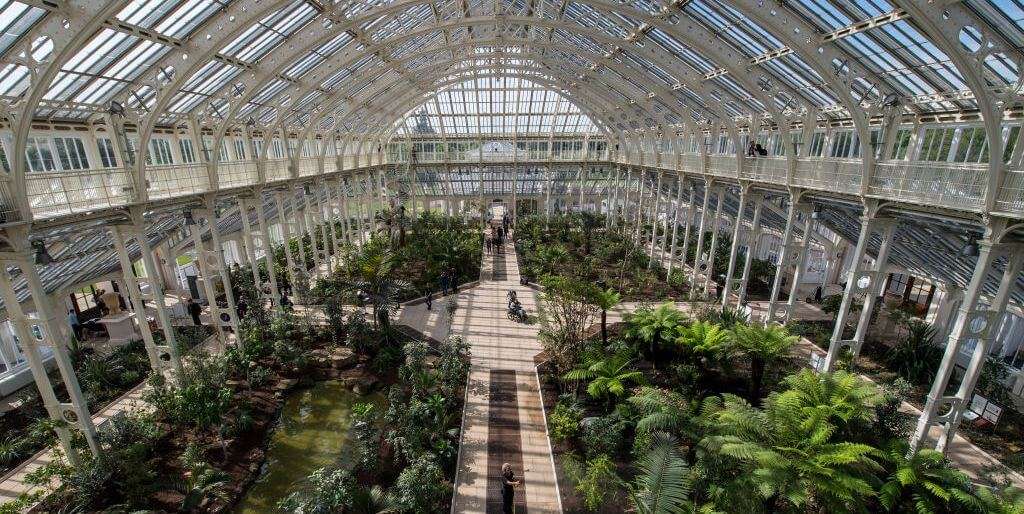 inside the grand Temperate House