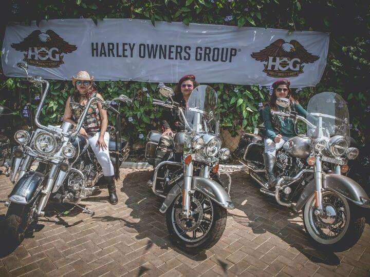 Ladies of Harley