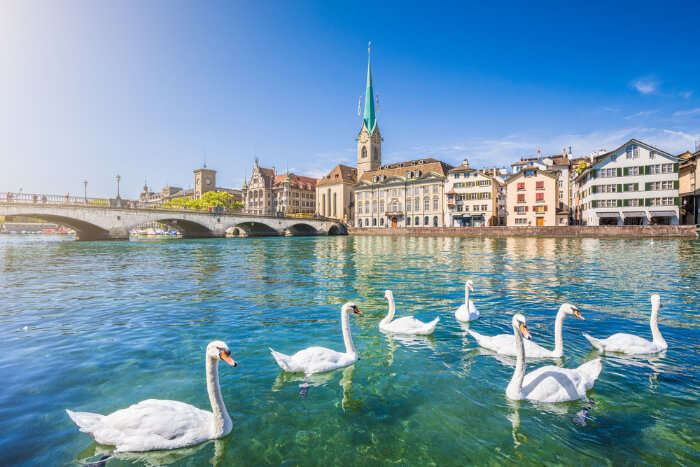 explore it through a speedboat ride