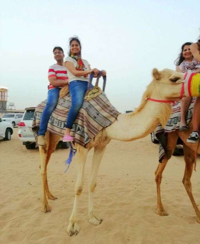 ashish singhal dubai honeymoon trip: camel riding