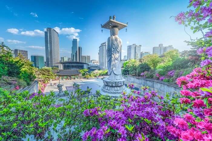 beautiful parks and many amazing places to visit in South Korea