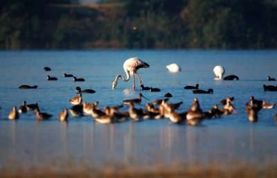 Picnic Spots near Rajkot