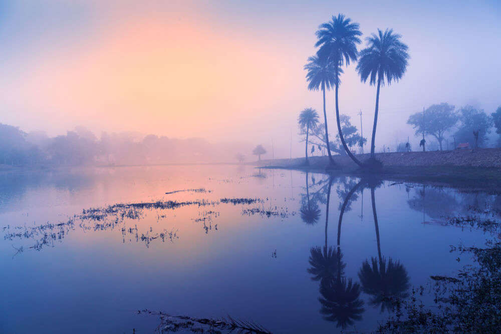 reflection of trees on water during mist