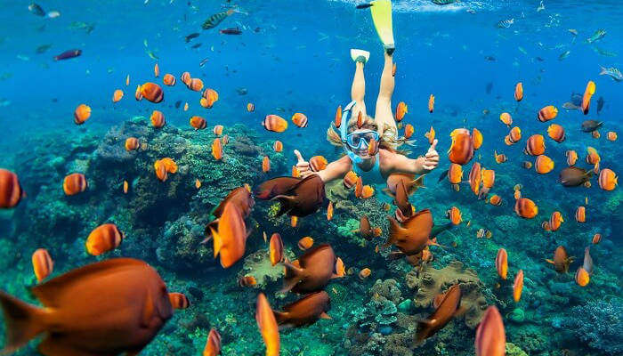 Snorkel Some Stunning World-Class Reefs