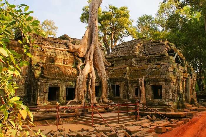 Ta Prohm Angkor Thom Siem reap