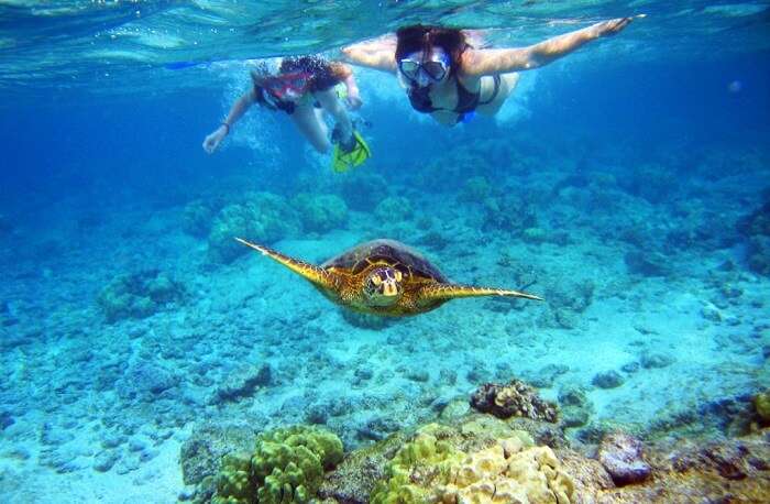 Snorkeling in Hawaii