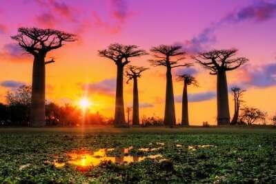 madagascar landscape